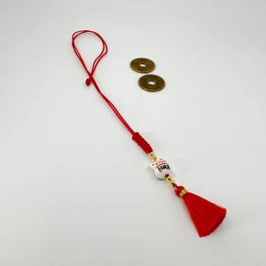 Japanese cat Charm