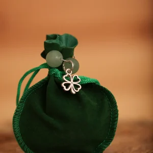 Good Luck/Money Manifestation Bag