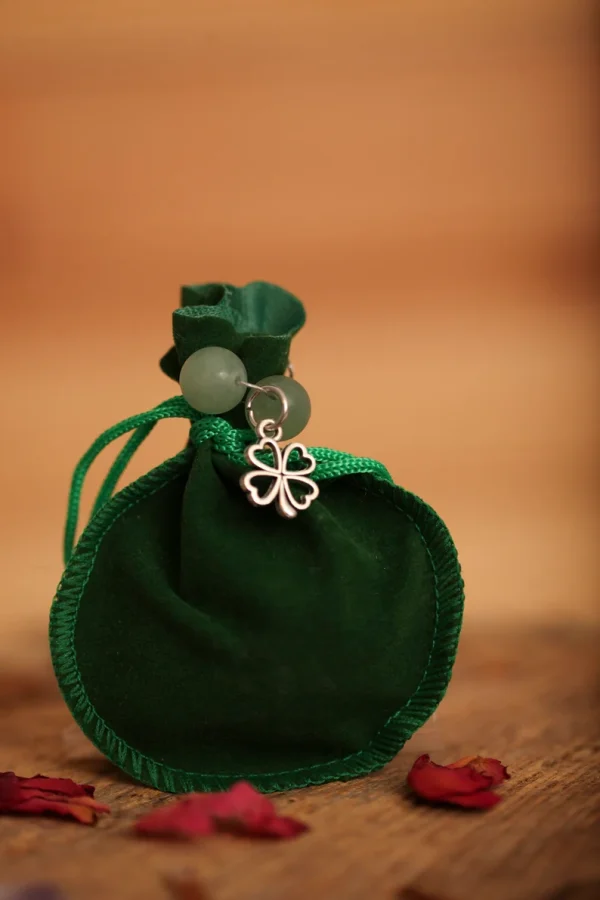 Good Luck/Money Manifestation Bag
